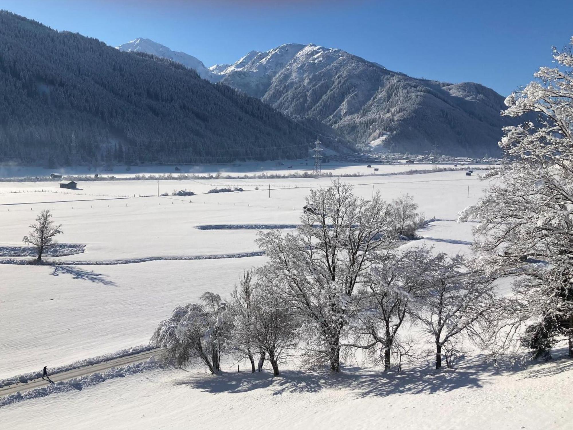 Holiday Apartment In Pinzgau With A Large Terrace Mittersill Eksteriør billede
